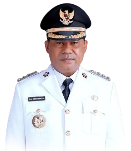 Wakil Bupati