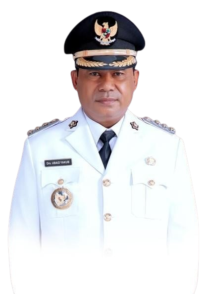Foto BUPATI